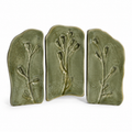 Herbarium Echo Tile Set