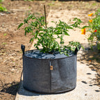 Plantable Fabric Covers | 15 Gallon - 1 Hole -5 Pack