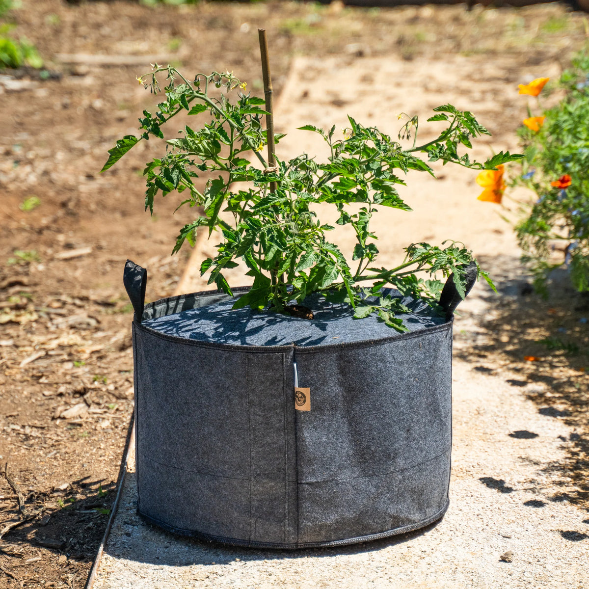 Plantable Fabric Covers | 15 Gallon - 1 Hole -5 Pack