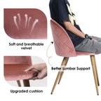 Homy Casa Velvet Upholstered Dining Chairs Set of 2 with Backrest for Kitchen, Rose