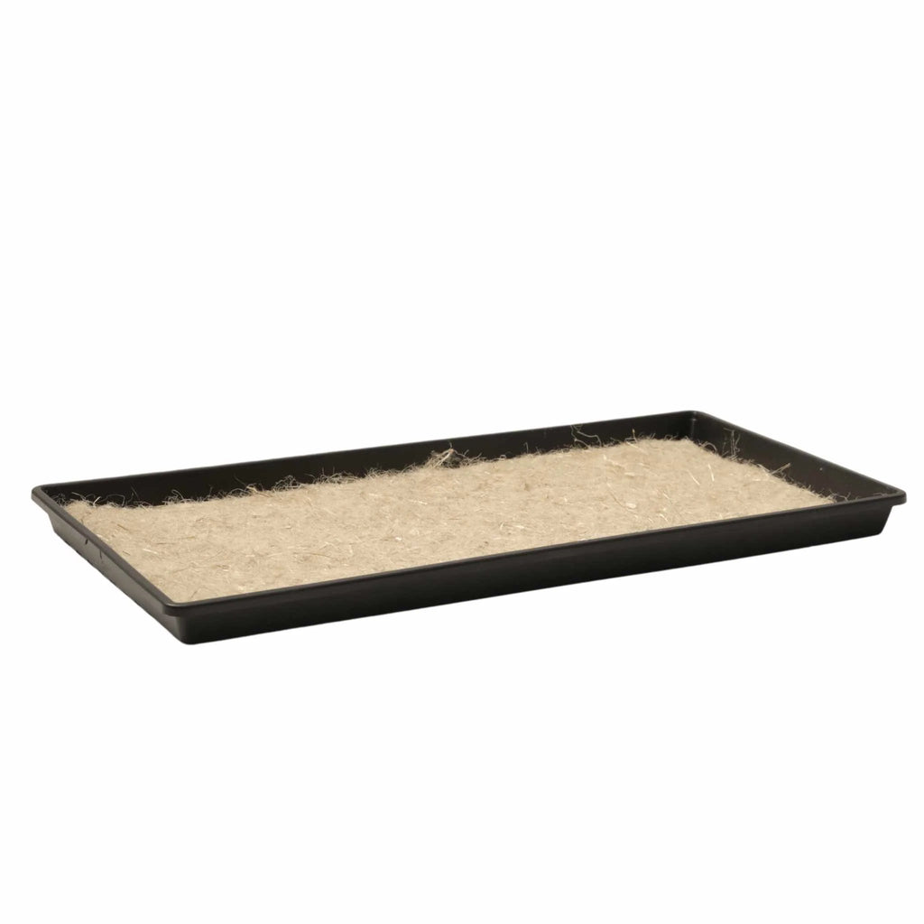 1020 Microgreen Trays | Extra Strength Shallow 1020 Trays | 1 Tray / No Holes / Black