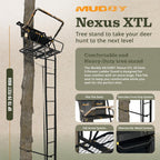 Ladder Tree Stand, 20ft, 500lb Capacity, 2-Person