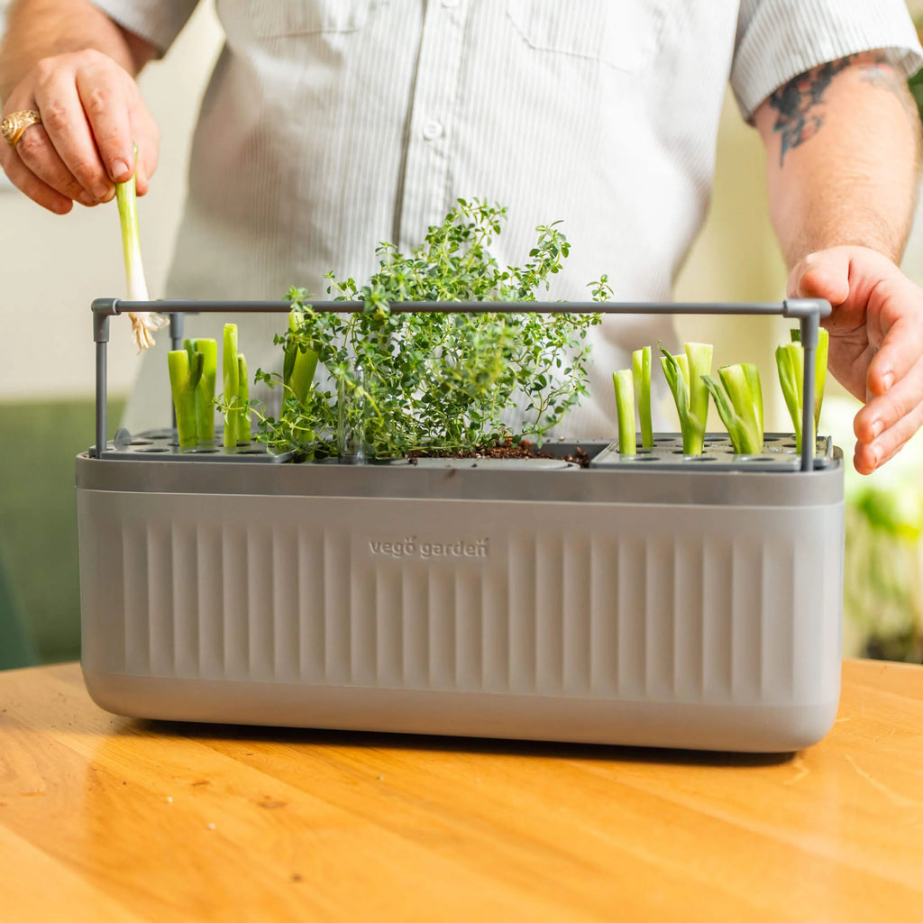 EZ Self-Watering Herb Planter with Trellis Gen 2 | Sage Green