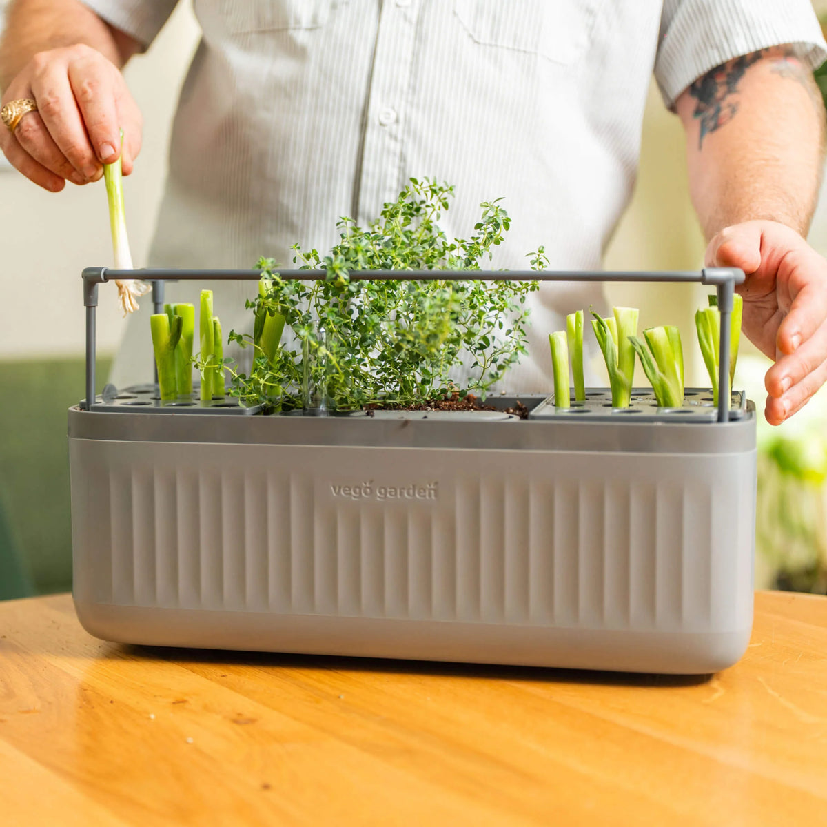 EZ Self-Watering Herb Planter with Trellis Gen 2 | Sage Green