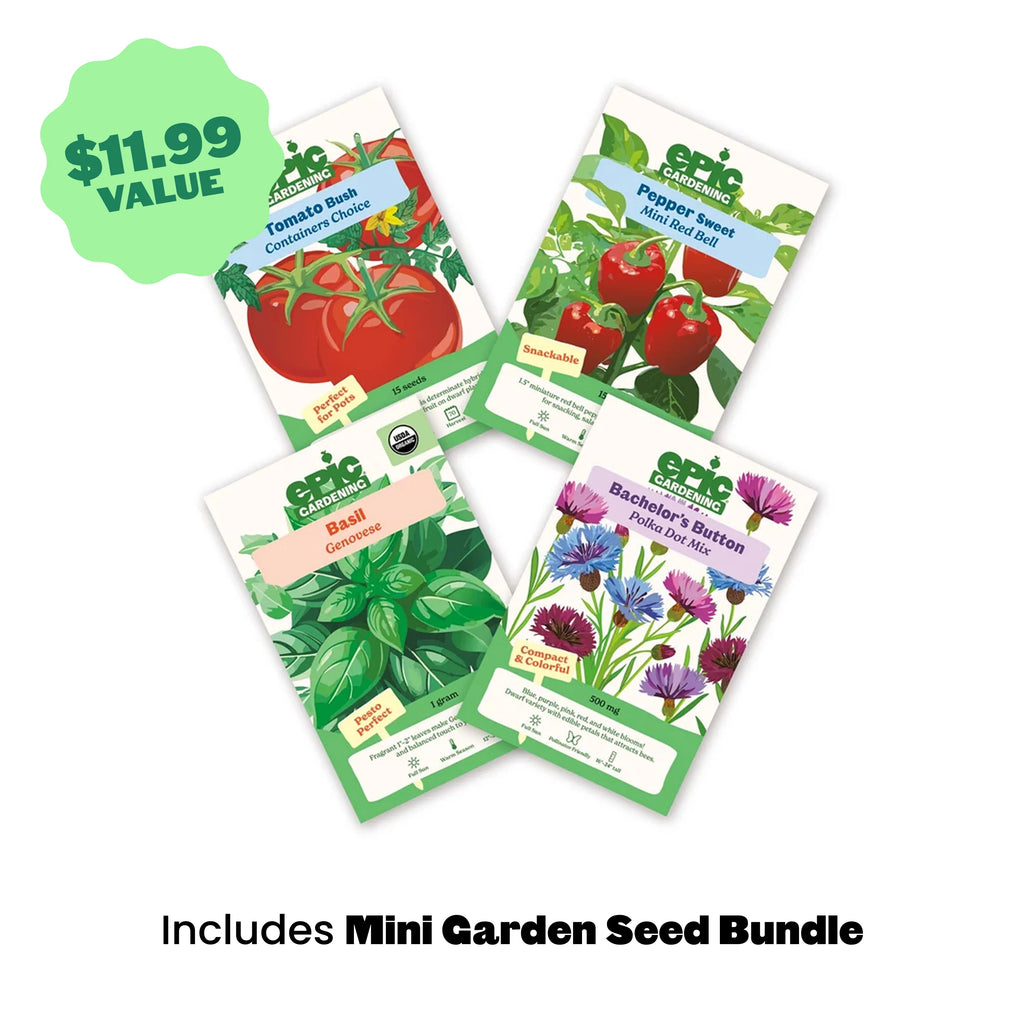 The Seed Starting Kit | Black