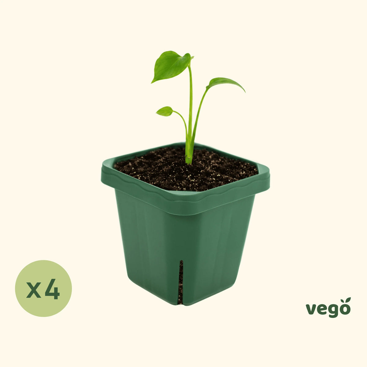 Extra-Large 5" x 5" Seedling Pot - 4 Pack