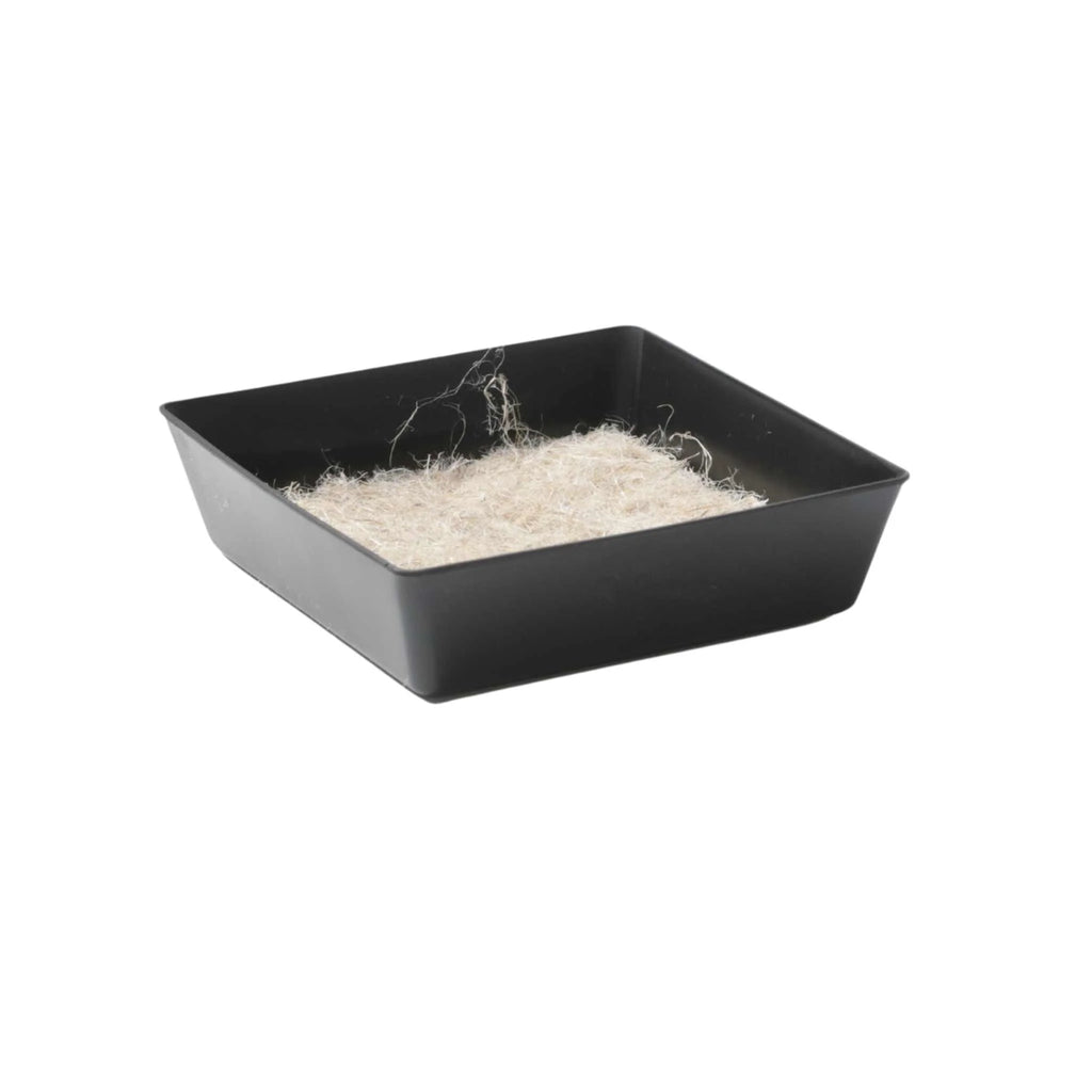 5X5 Extra Strength Shallow Microgreen Trays | Black / 16 Inserts / No Hole