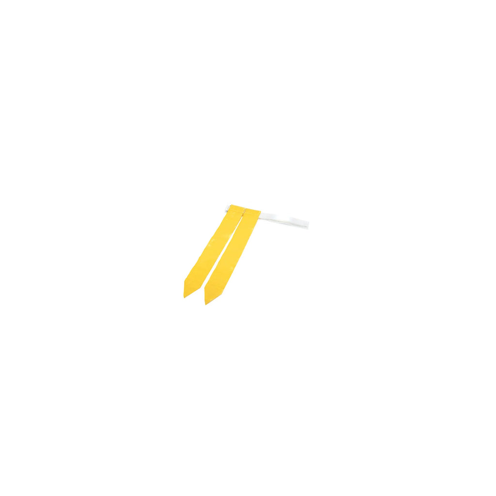 10-Man Flag Football Set