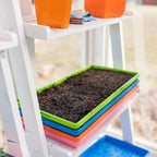 1020 Microgreen Trays - Shallow Extra Strength Colors | White / 1 Tray / No Holes