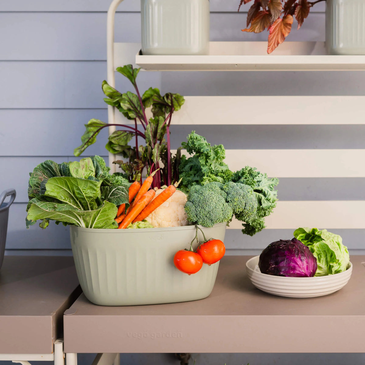 Vego FlexTrug - 4 Gallon Tub | Sage Green