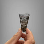 Growcoon Rooting Pod | 128 Cell / 100 Pack