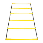 Elevation Ladder