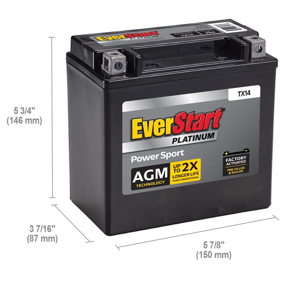 EverStart Platinum BOXED AGM Power Sport Battery, Group Size TX14 12 Volt, 200 CCA