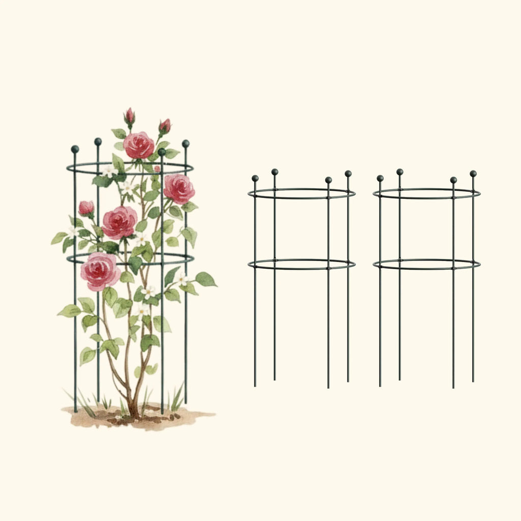 Flower Cage Round - 2 Pack | Medium