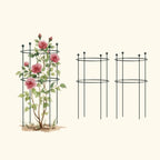 Flower Cage Round - 2 Pack | Medium