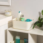 Small Plastic Storage Organizer Basket, Off-White