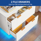 Moasis Lateral Filing Cabinet with LED Lighting and 2 Drawers for Home Office