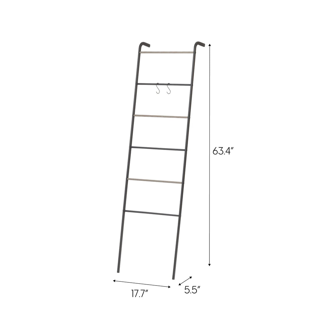 Metal Garment Rack - Ladder | Black