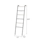 Metal Garment Rack - Ladder | Black