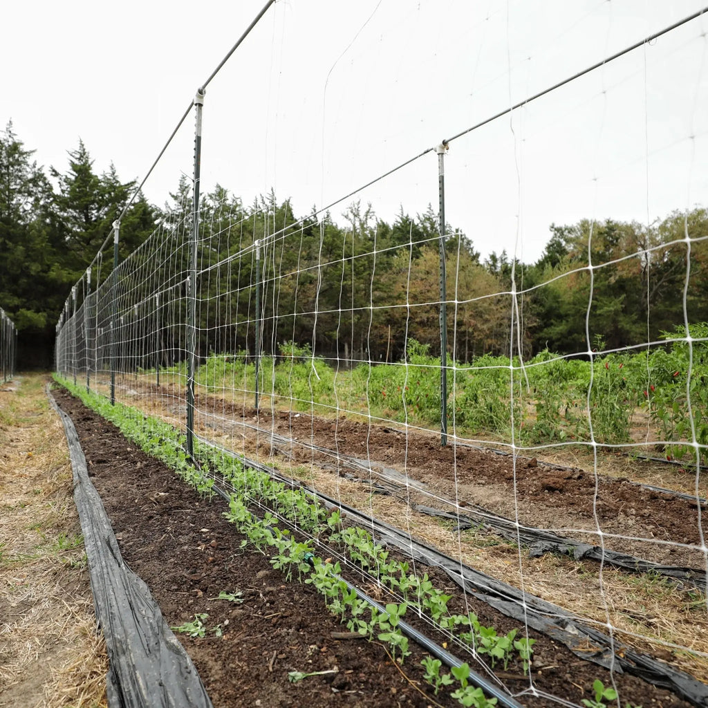Trellis Netting | 6" Mesh | 3 x 328