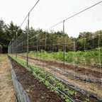 Trellis Netting | 6" Mesh | 3 x 328