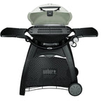 Weber Q 3200 Propane Gas Grill - Titanium - 57060001