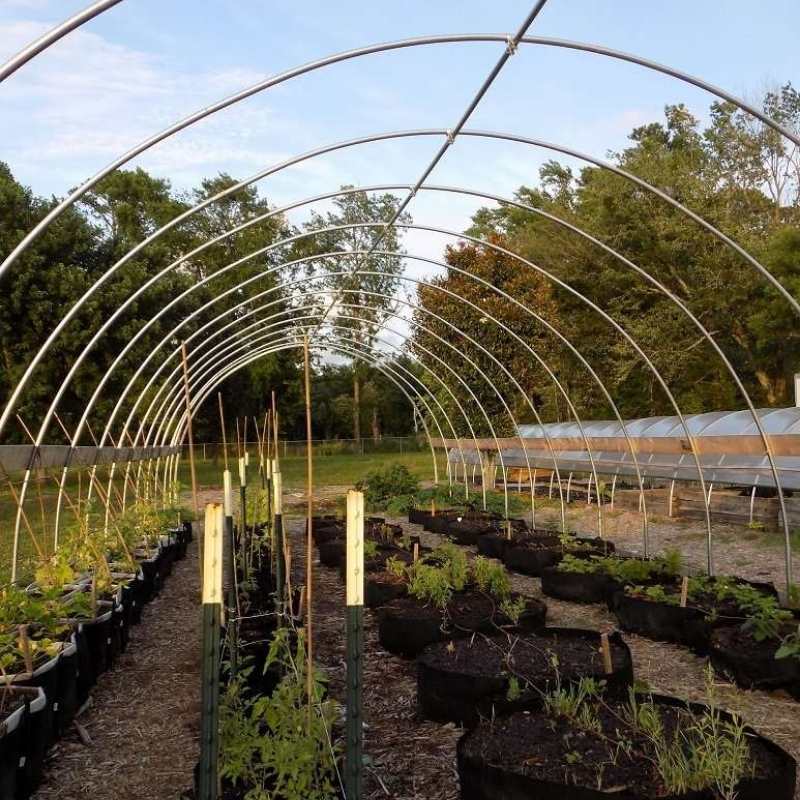 Grow Bags - 100 Gallon | 1 Grow Bag
