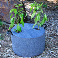 Plantable Fabric Covers | 15 Gallon - 1 Hole -5 Pack