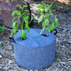 Plantable Fabric Covers | 15 Gallon - 1 Hole -5 Pack
