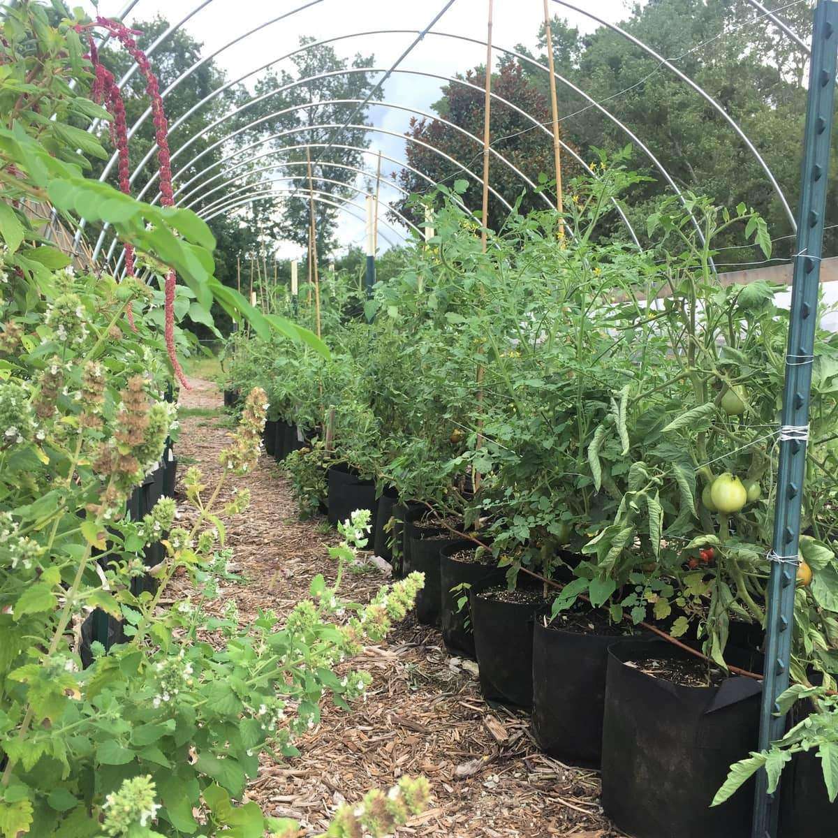Grow Bags - 2 to 50 Gallon - Black | 2 Gallon / 10 Pack