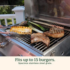 Cuisinart Chef's Style Tabletop Portable Propane Grill 20000 BTU 2-Burner Outdoor Gas Grill