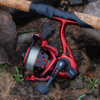 KastKing Royale Legend Glory Spinning Reel | 1000 / 6.2:1