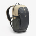 Quechua 100 Arpenaz 20L Hiking Backpack | Carbon Gray / 20 L