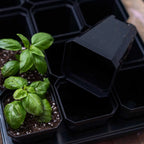 3.3" Heavy Duty Seed Starting Pots | Black / 36
