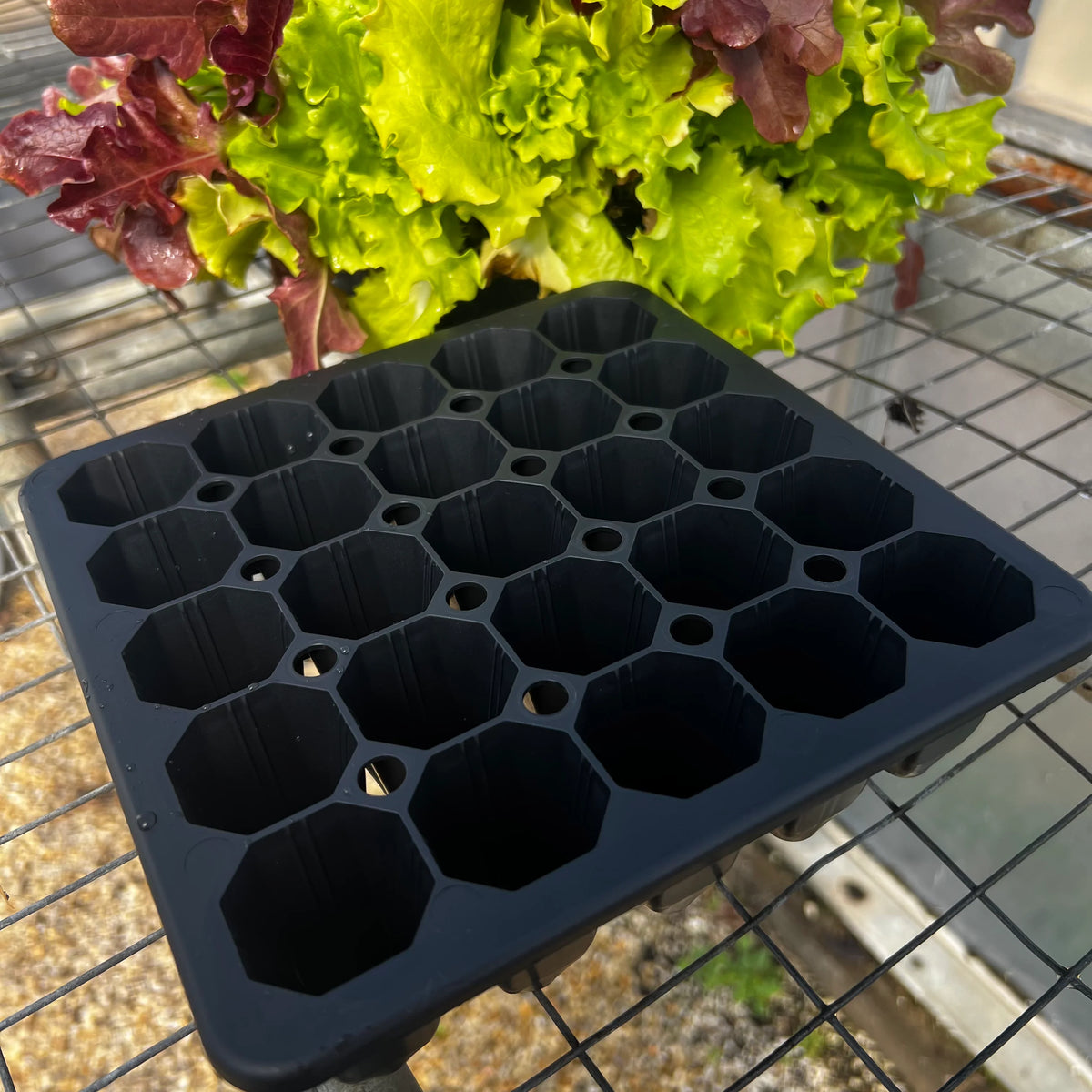 25 Cell Seed Starting Tray | 1 Pack