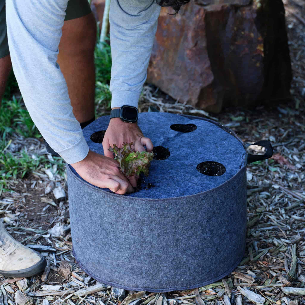 Plantable Fabric Covers | 15 Gallon - 1 Hole -5 Pack