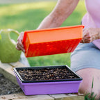 1010 Trays 2.5" Deep - Extra Strength | 10 Trays / Multicolor / With Hole
