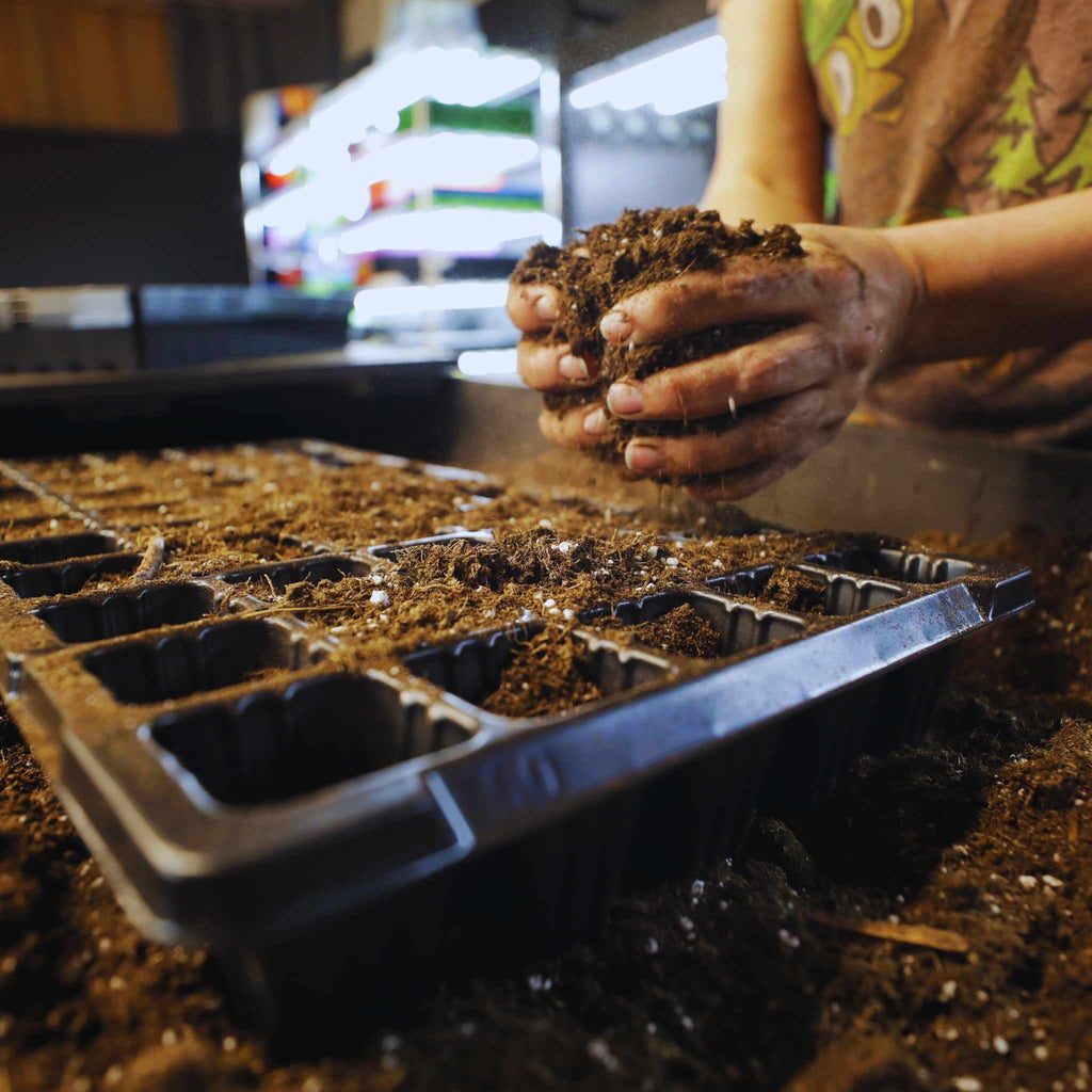 50 Cell Seed Planting Trays | 1 Pack