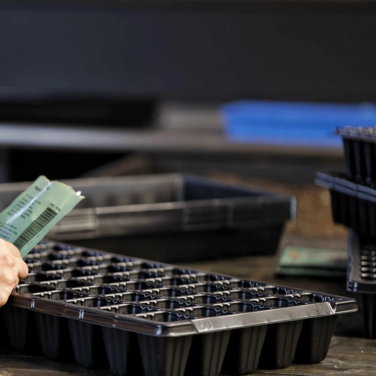 50 Cell Seed Planting Trays | 1 Pack