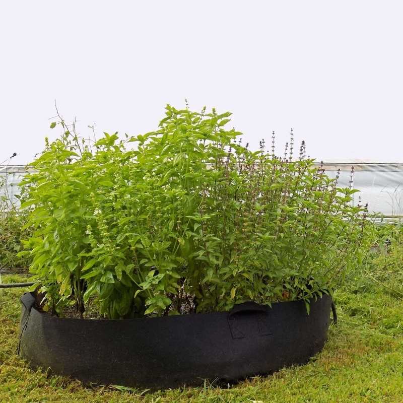 Grow Bags - 100 Gallon | 1 Grow Bag