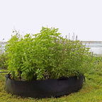 Grow Bags - 100 Gallon | 1 Grow Bag