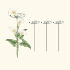 Single Stem Plant Support Spiral - 3 Pack