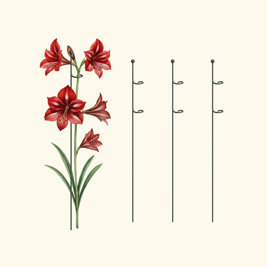 Single Stem Plant Support Loop - 3 Pack