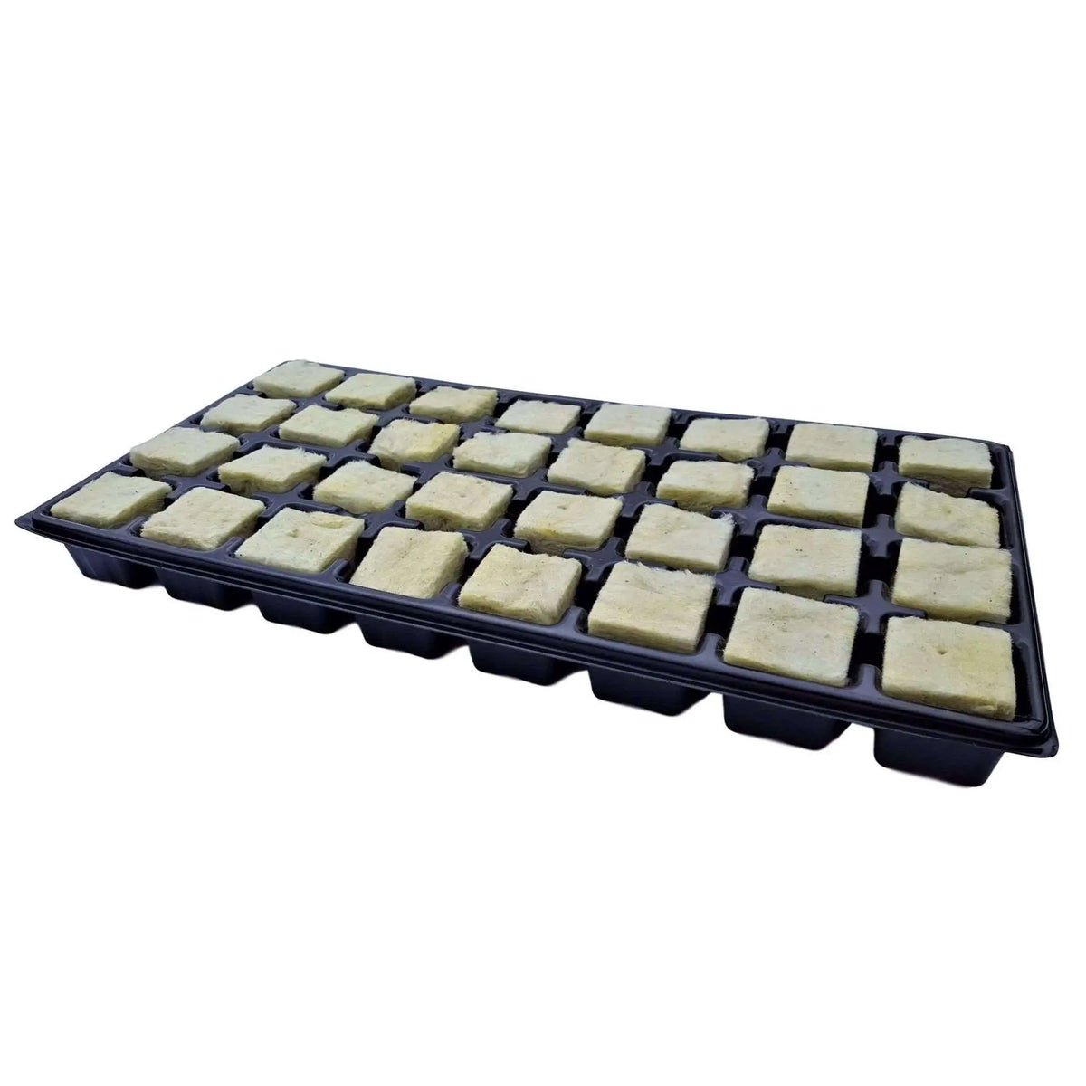Seed Starter Trays - 32 Cell | 1 Tray
