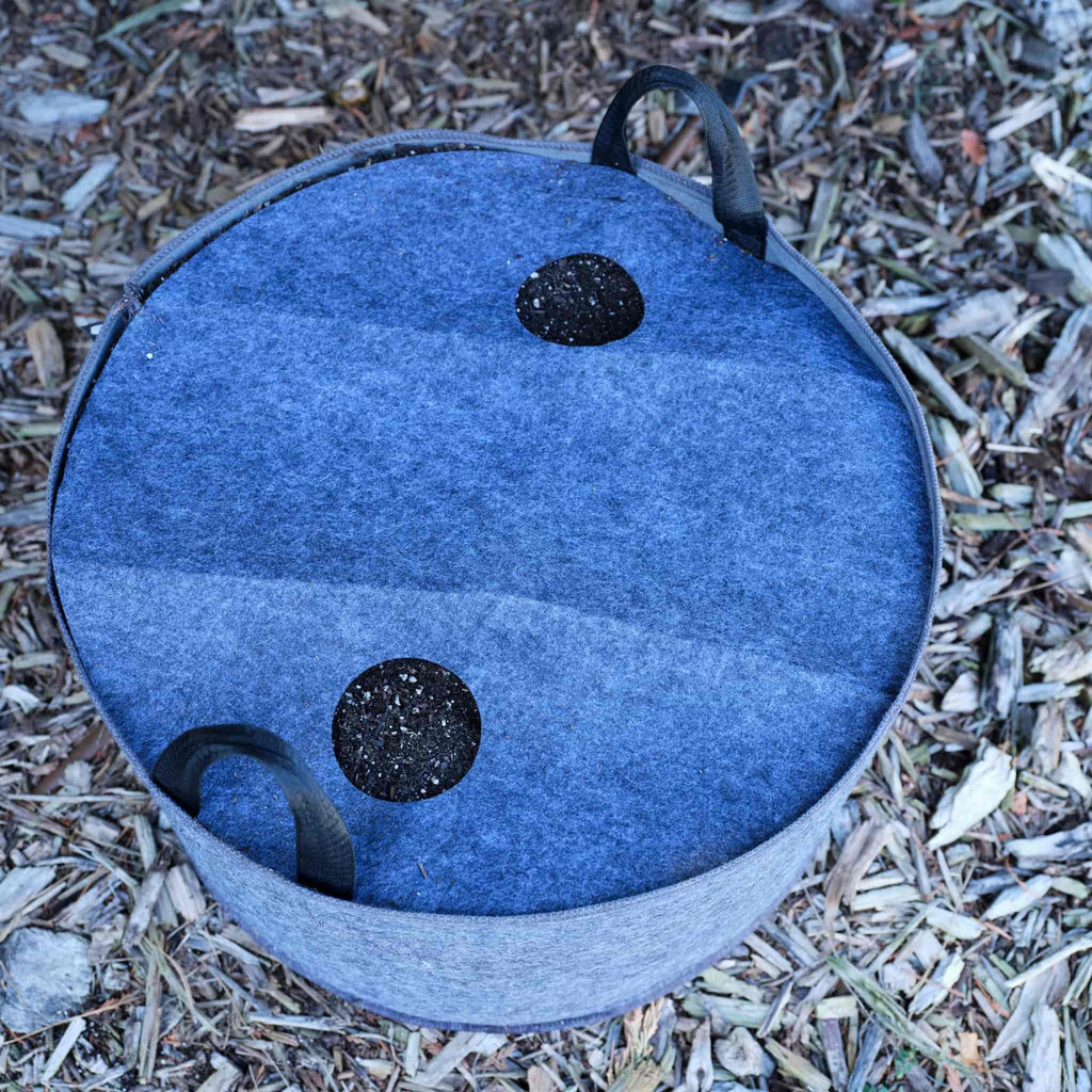 Plantable Fabric Covers | 15 Gallon - 1 Hole -5 Pack