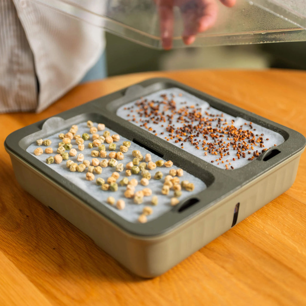2-Pack EZ Microgreens Planter | Fog Gray
