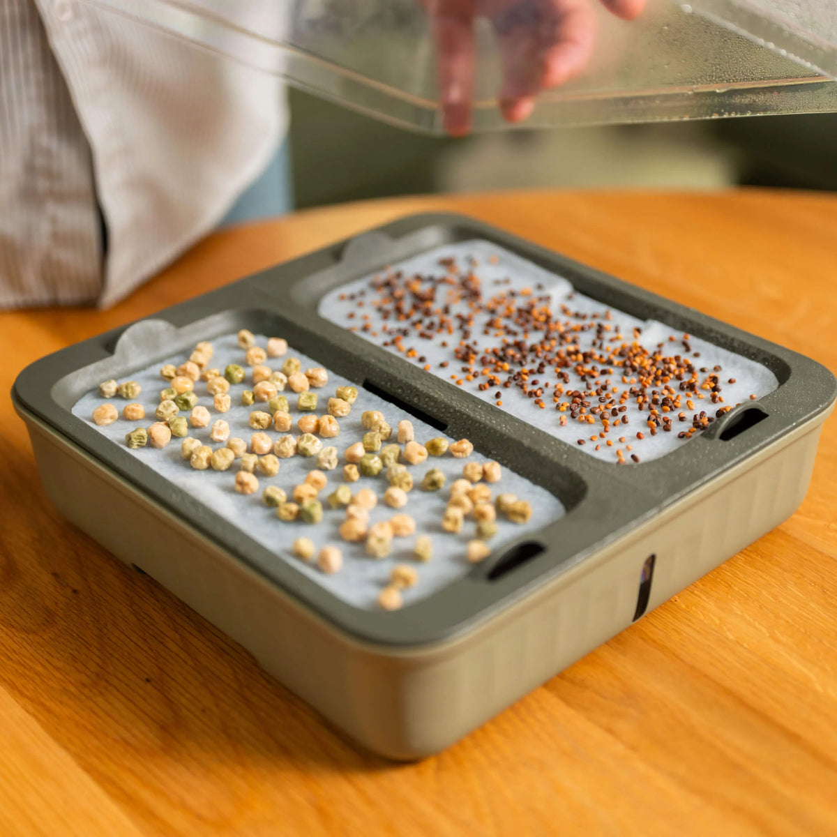 2-Pack EZ Microgreens Planter | Fog Gray