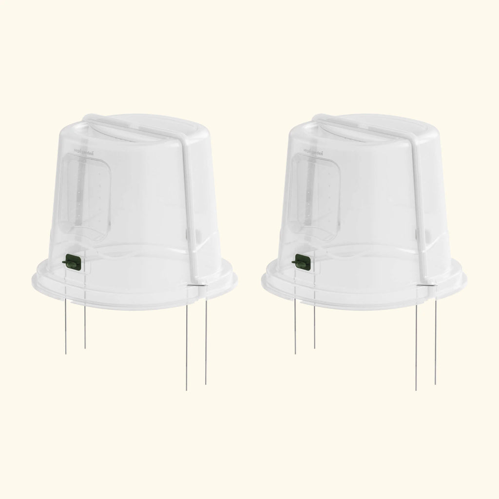 Dome Cloche Kit