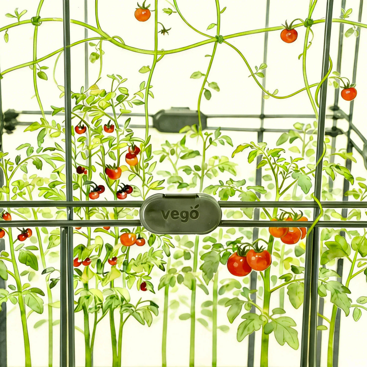 FlexGrow Connectors Kit - 10 Pack