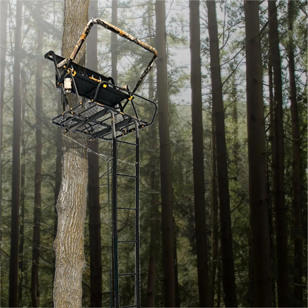 Ladder Tree Stand, 20ft, 500lb Capacity, 2-Person